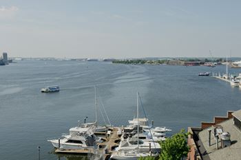 A view of boats docked in the water at a harbor